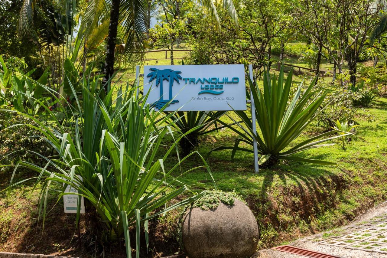 The Tranquilo Lodge, Adult Only, All Meals Included Drakes Bay Εξωτερικό φωτογραφία